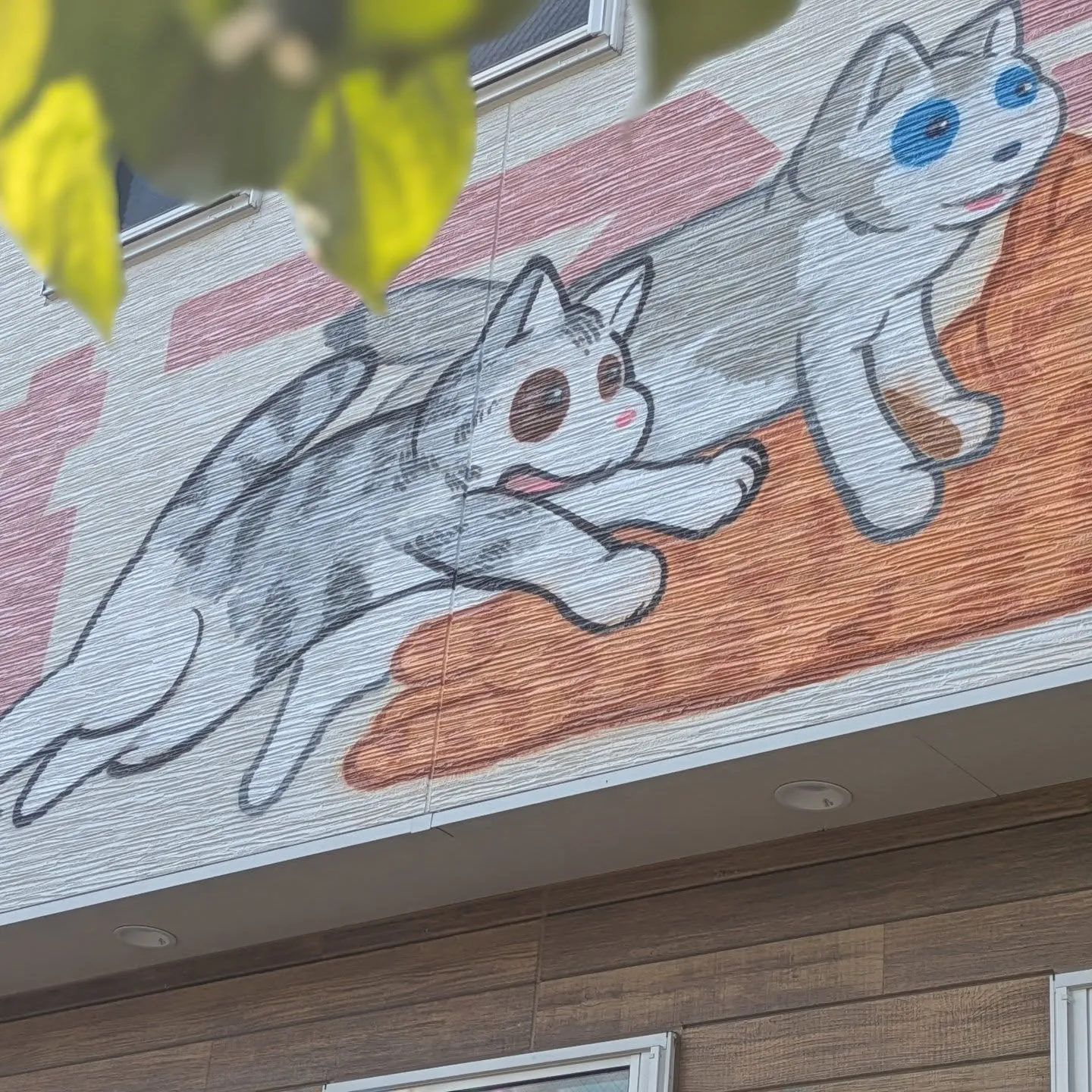 8月の初めに福知山の猫カフェで制作したウォールアート