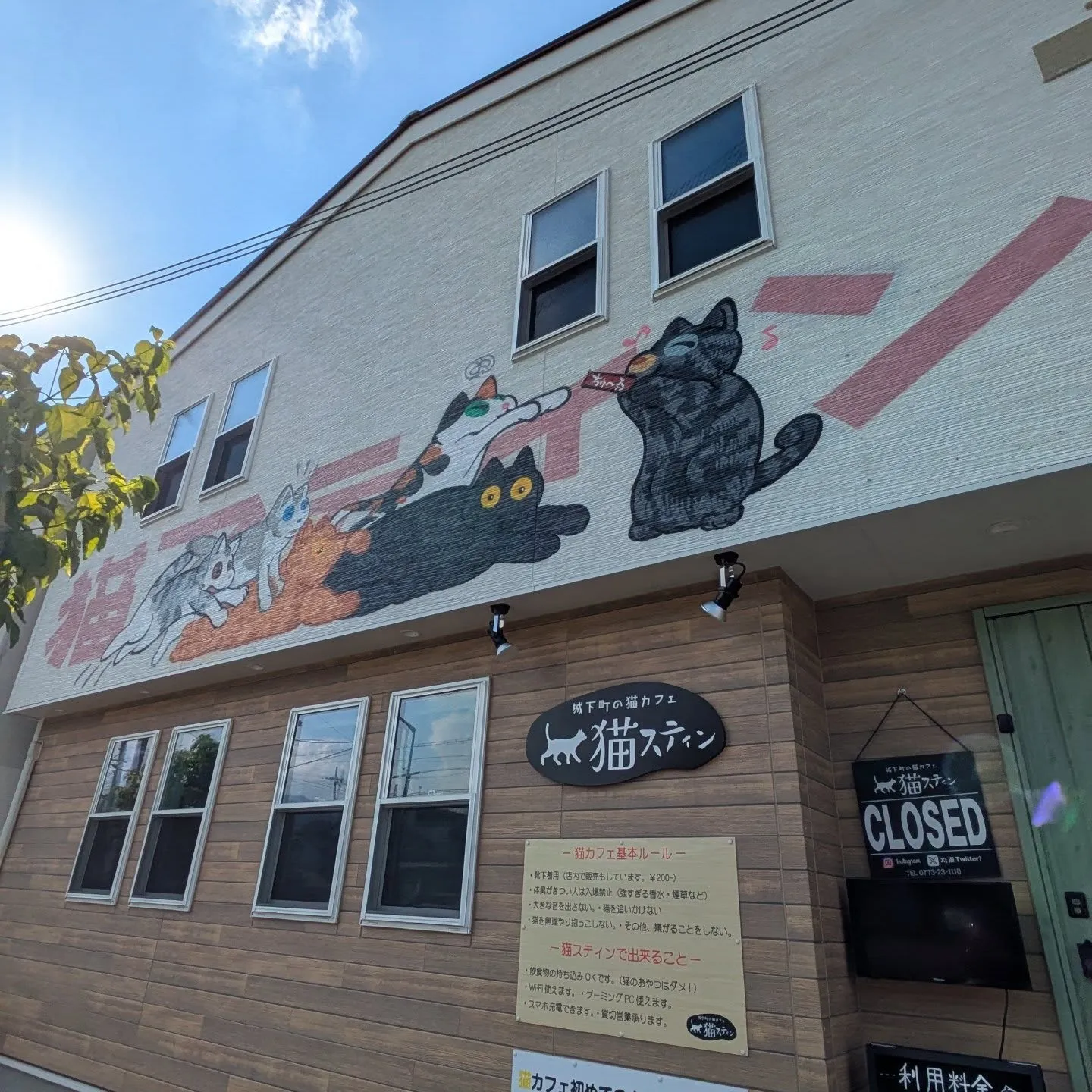 8月の初めに福知山の猫カフェで制作したウォールアート