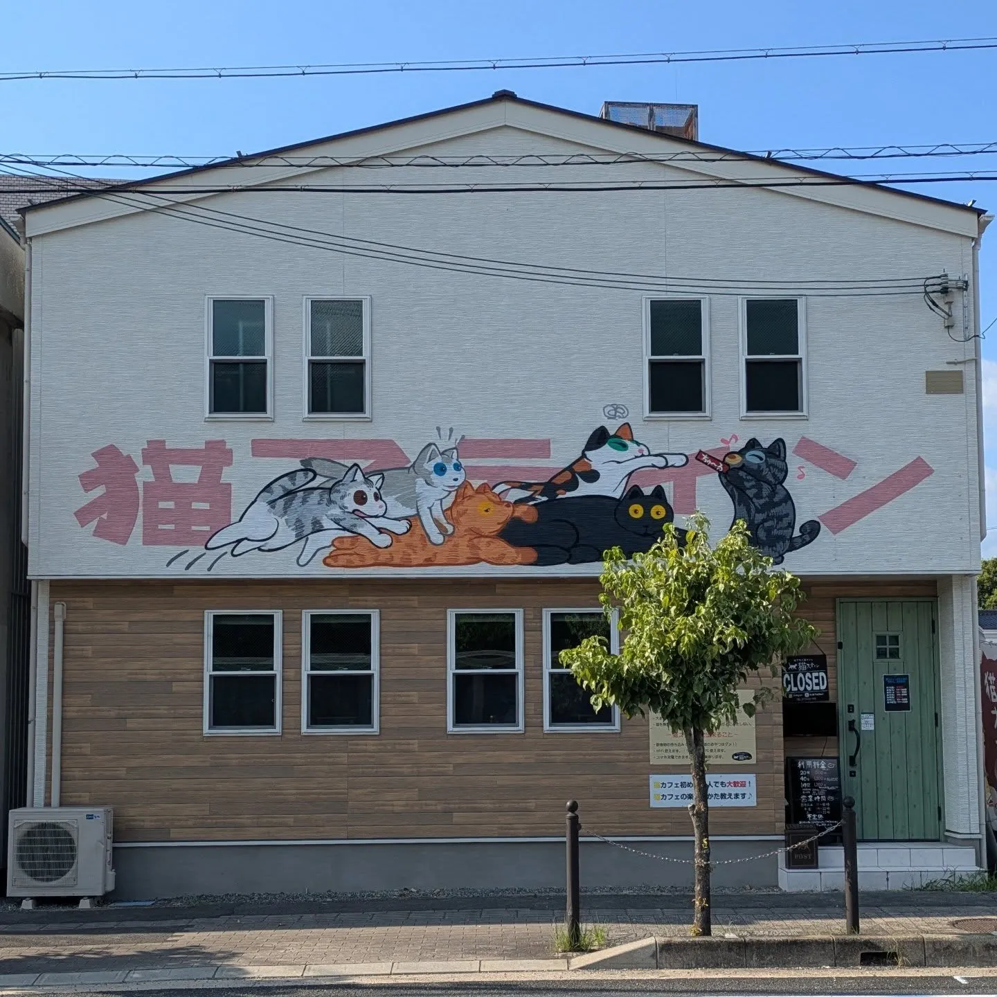8月の初めに福知山の猫カフェで制作したウォールアート