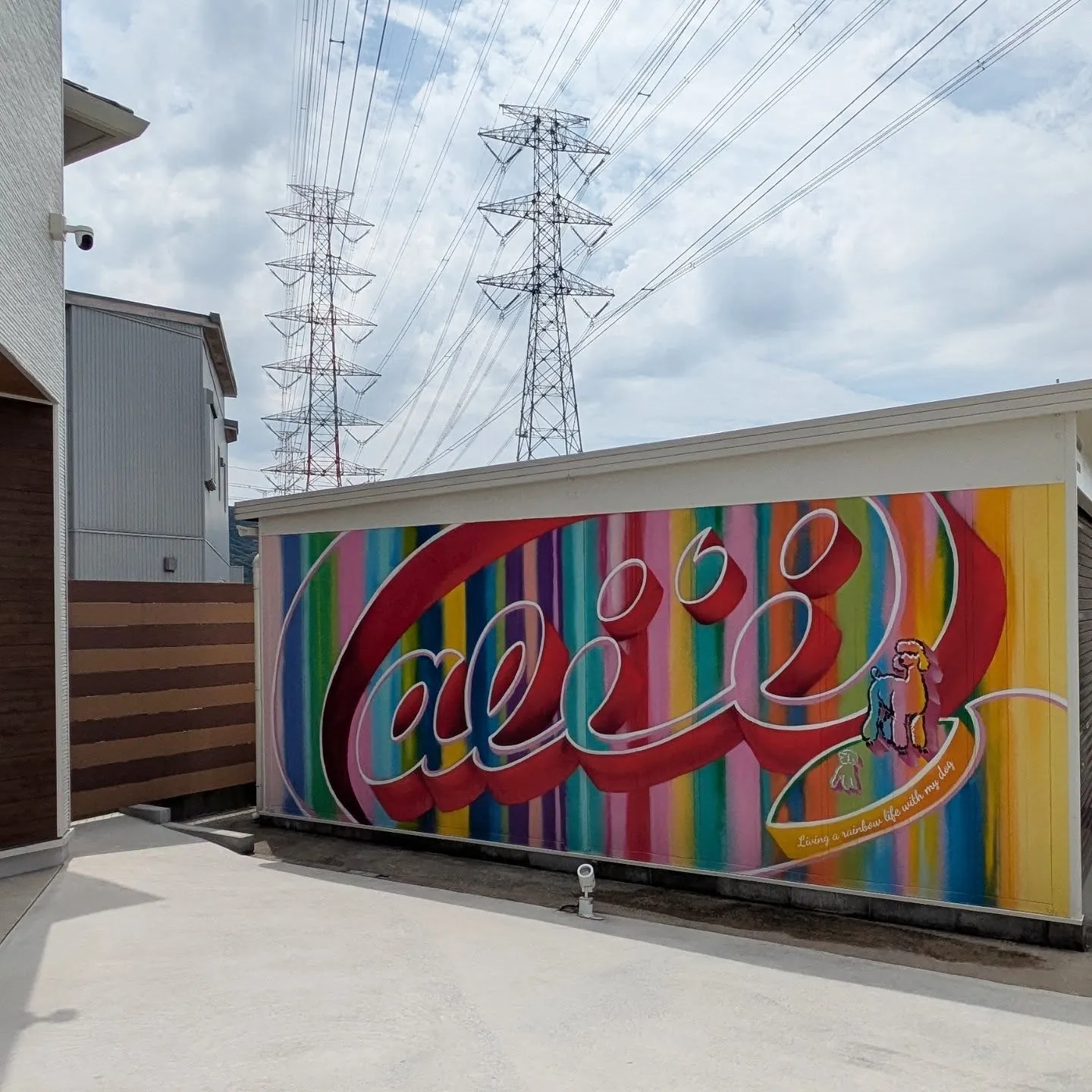 レインボーシャワーの壁画アート🌈
